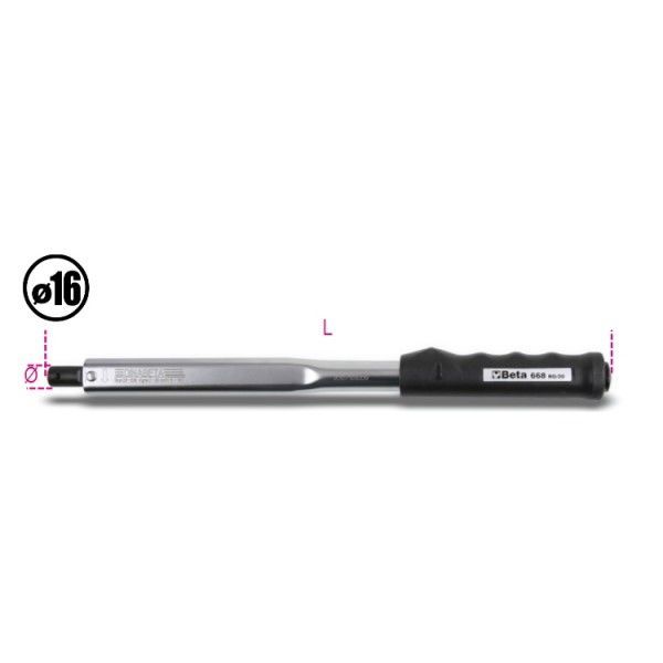 BETA 668RG/6