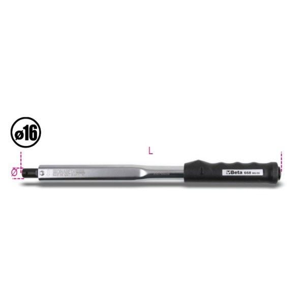 BETA 668RG/6